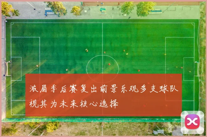 浓眉季后赛复出前景乐观多支球队视其为未来核心选择